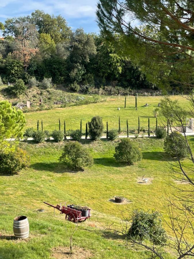 Resort Panoramico Canale Suite - Private Parking - Natural Park Sinalunga Kültér fotó
